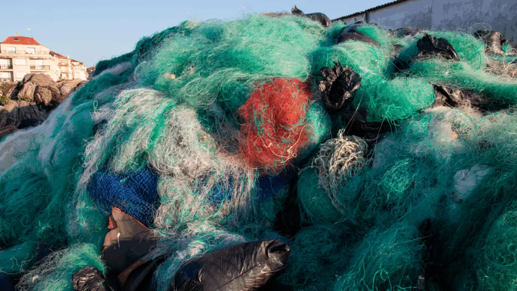 Su Immagine: Plastica nell'oceano
